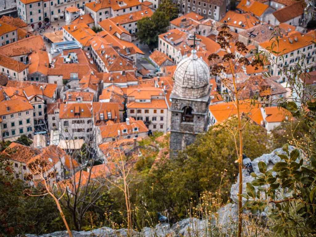 View over Kotor’s terracotta rooftops and church tower from the hillside