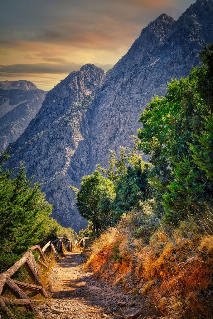 Hiking trail in Samaria Gorge with steep rocky cliffs and forested slopes in Crete